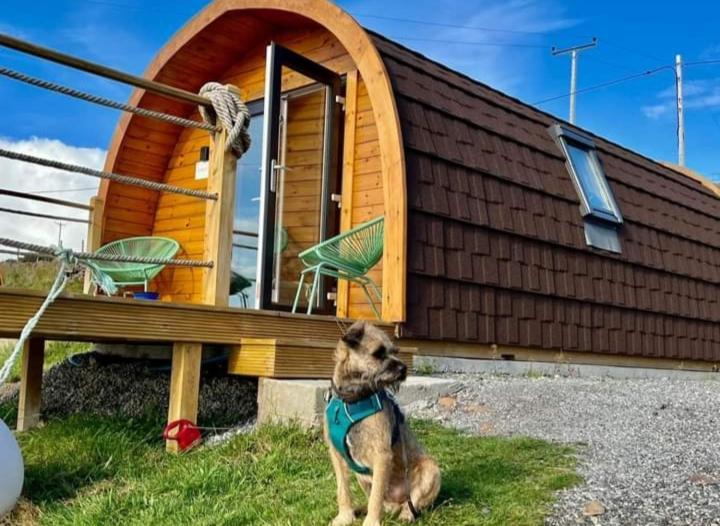 Hotel The Sleepy Crofter Glamping - Achiltibuie Exteriér fotografie